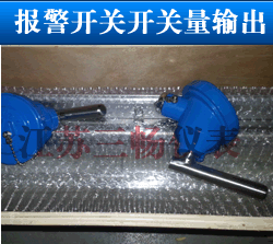 磁翻板液位計(jì)報(bào)警開(kāi)關(guān)